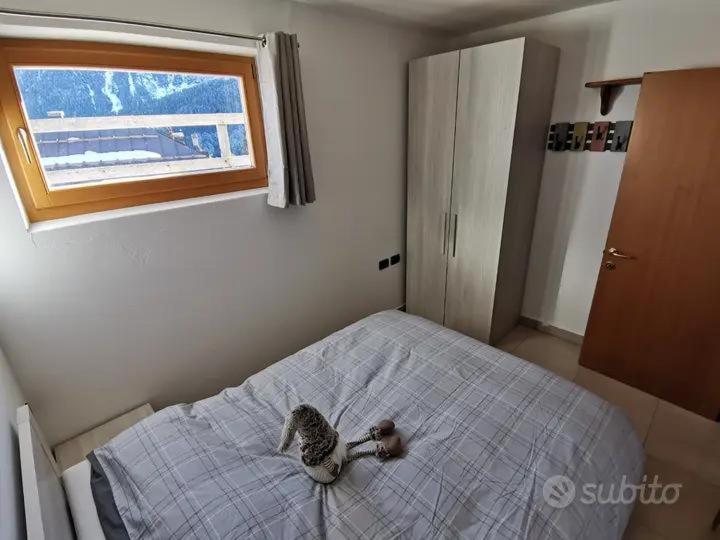 Spazioso Trilocale Sulle Piste Da Sci Folgarida Dış mekan fotoğraf